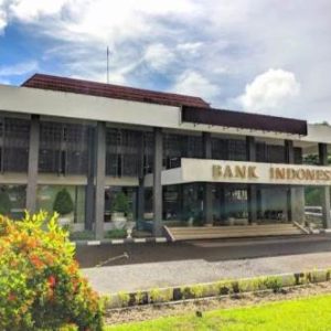 WhatsApp Image 2024-03-04 at 17.01.17