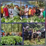 GridArt_20250822_113359878_copy_1884x1884