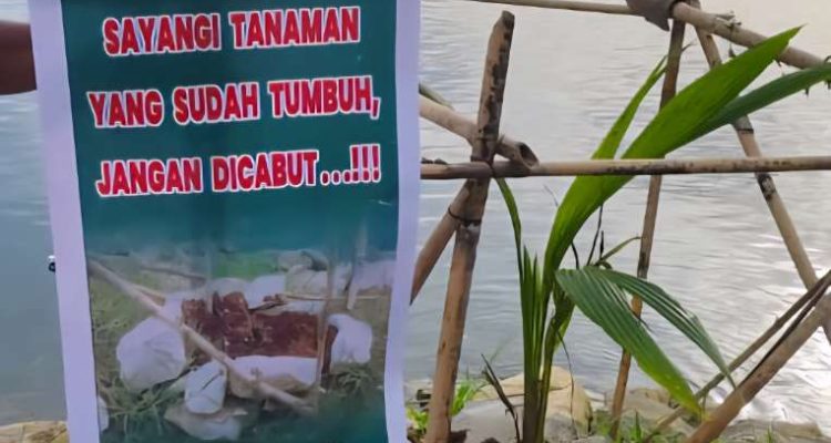 IMG-20251006-WA0051_copy_763x1007