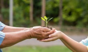 elderly-person-children-holding-plant-min-825x552_iHsVn