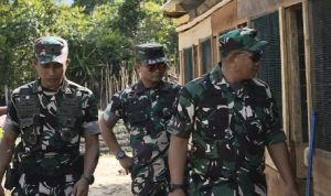 IMG-20251109-WA0047_copy_458x372