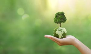 istockphoto-1486564860-612x612