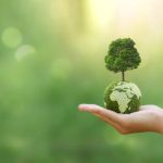 istockphoto-1486564860-612x612