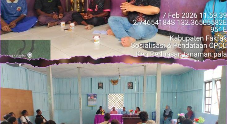 GridArt_20260216_005525449_copy_733x733